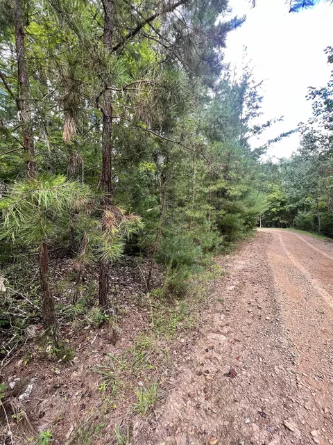 14 Lots Hedden Pnes, Murphy, NC 28906 photo 21