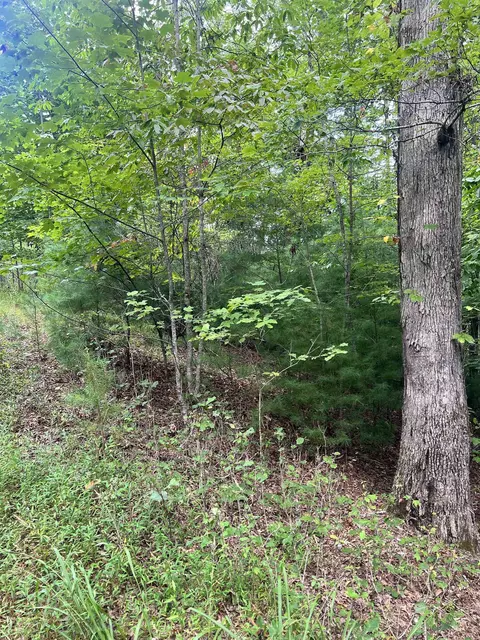 14 Lots Hedden Pnes, Murphy, NC 28906 photo 16