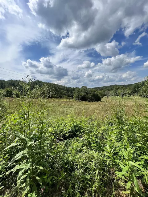 14 Lots Hedden Pnes, Murphy, NC 28906 photo 31