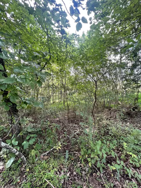 14 Lots Hedden Pnes, Murphy, NC 28906 photo 26