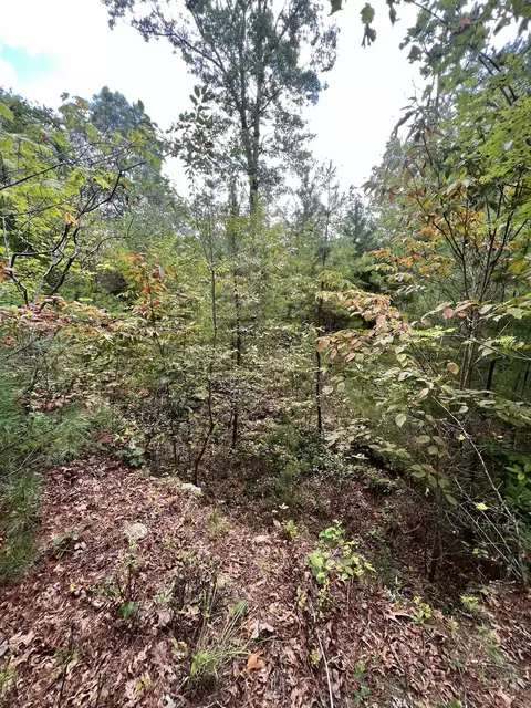 14 Lots Hedden Pnes, Murphy, NC 28906 photo 10