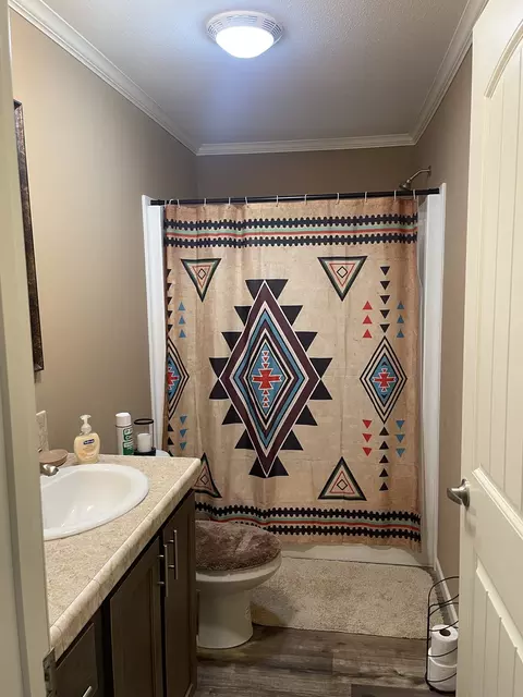 343 Mt Pleasant Rd, Pineview, GA 31071 photo 34