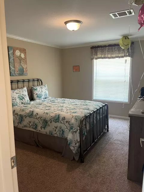 343 Mt Pleasant Rd, Pineview, GA 31071 photo 36