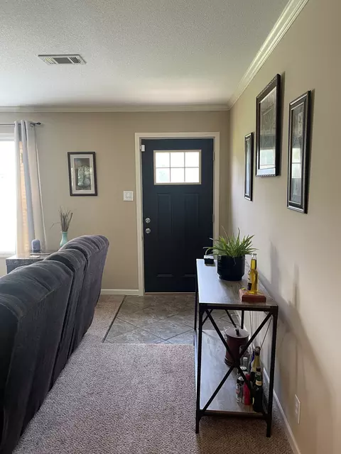 343 Mt Pleasant Rd, Pineview, GA 31071 photo 4