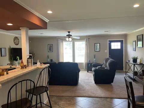 343 Mt Pleasant Rd, Pineview, GA 31071 photo 5