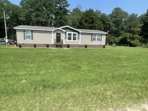 343 Mt Pleasant Rd, Pineview, GA 31071 photo 2