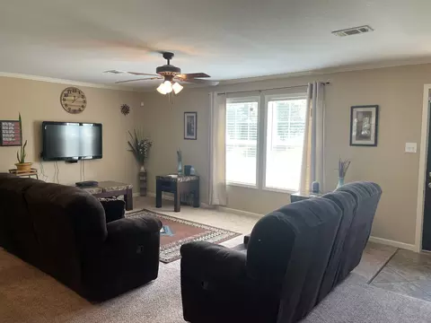343 Mt Pleasant Rd, Pineview, GA 31071 photo 22