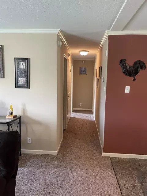 343 Mt Pleasant Rd, Pineview, GA 31071 photo 23