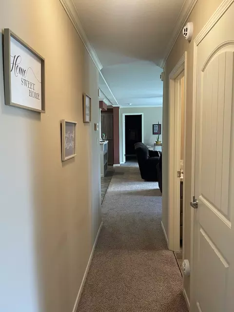343 Mt Pleasant Rd, Pineview, GA 31071 photo 37