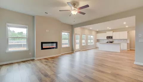 157 Cabin Way #LOT 92, Hampton, GA 30228 photo 6