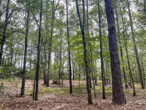 0 Terrell Rd #6.62 ACRES, Greenville, GA 30222