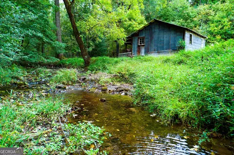 109 Mill St SW, Cave Spring, GA 30124 photo 49