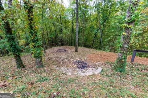 103 Cavit Ct, Canton, GA 30114 photo 38