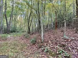 0 Waldos Ln, Murphy, NC 28906