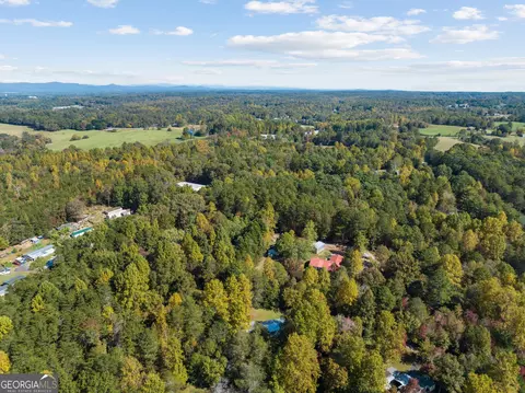 1029 E Mize Rd, Demorest, GA 30535 photo 44