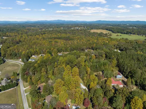 1029 E Mize Rd, Demorest, GA 30535 photo 43