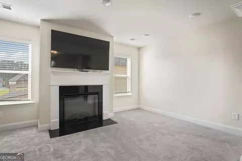 809 Albright Ln, Hampton, GA 30228 photo 20