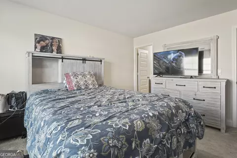 809 Albright Ln, Hampton, GA 30228 photo 24