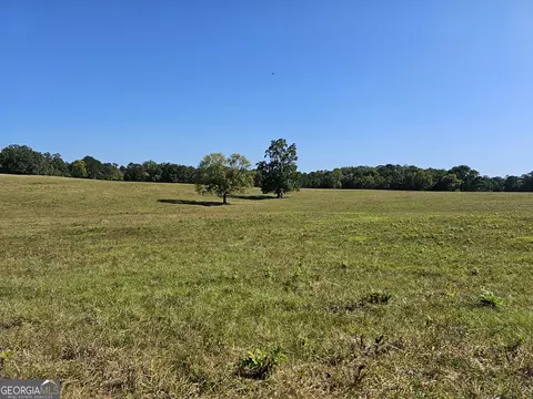 0 Highway 16 E #TRACT 2, Monticello, GA 31064