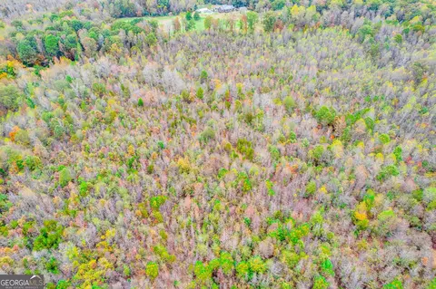 Other - 3590 Highway 198, Carnesville, GA 30521 photo 4 of 17
