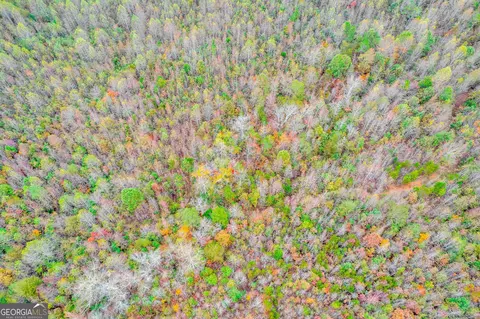 Other - 3590 Highway 198, Carnesville, GA 30521 photo 5 of 17