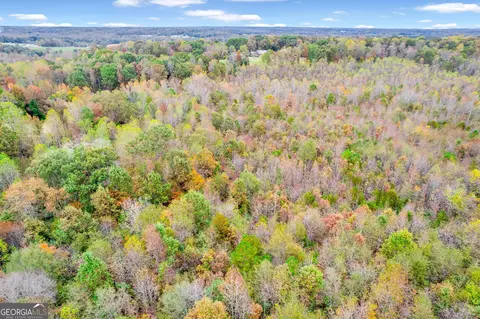 View/Area - 3590 Highway 198, Carnesville, GA 30521 photo 20 of 29
