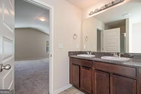 1274 Vienna Ct, Hampton, GA 30228 photo 21
