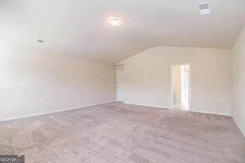 1274 Vienna Ct, Hampton, GA 30228 photo 18