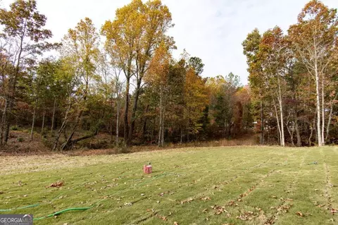 95 Moss Rd, Fairmount, GA 30139 photo 75