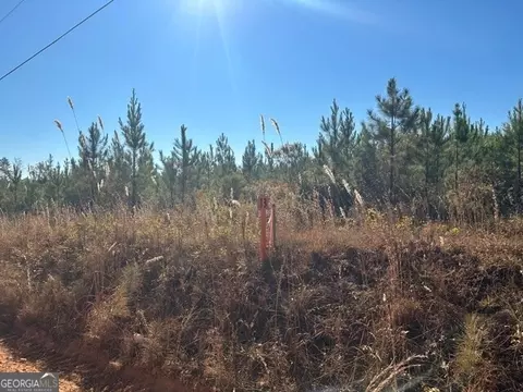 0 Cook Rd #LOT 13, Monticello, GA 31064