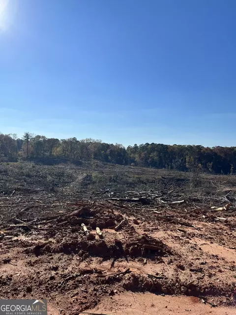 0 Vernon Ferry Rd, Lagrange, GA 30240 photo 4
