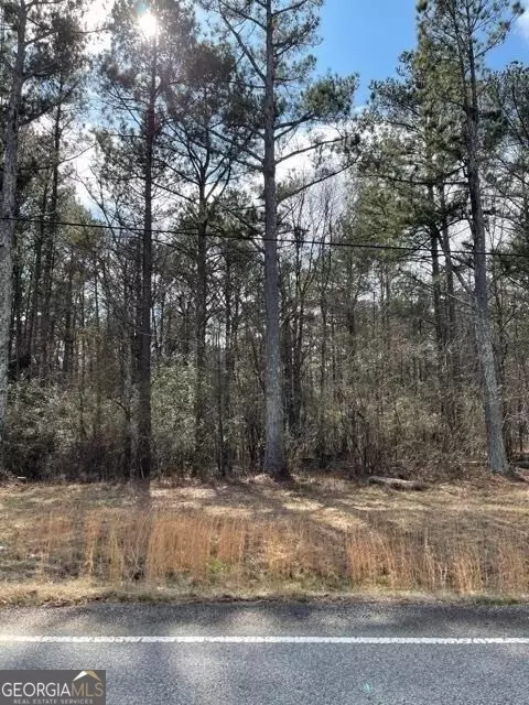 0 Turkey Creek Rd, Newnan, GA 30263