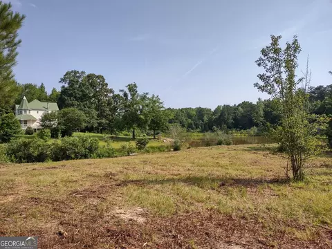 0 Elm St, Hampton, GA 30228 photo 30