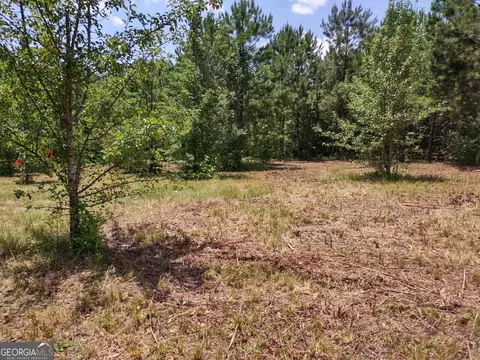 0 Elm St, Hampton, GA 30228 photo 5