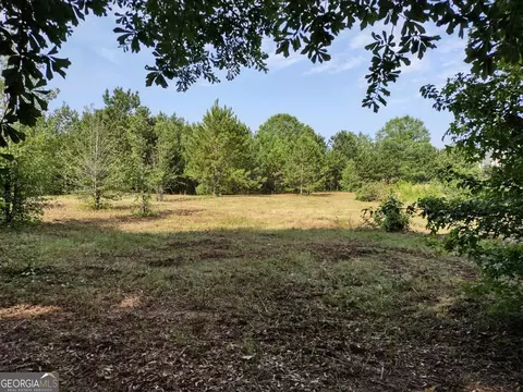 0 Elm St, Hampton, GA 30228 photo 25