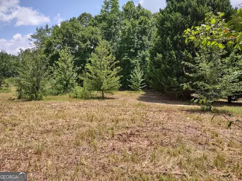 0 Elm St, Hampton, GA 30228 photo 7