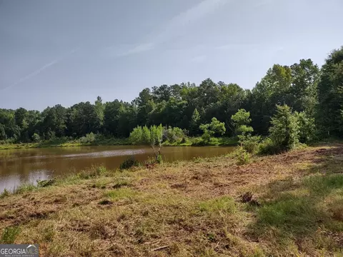 0 Elm St, Hampton, GA 30228 photo 32