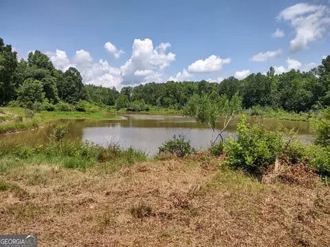 0 Elm St, Hampton, GA 30228 photo 3