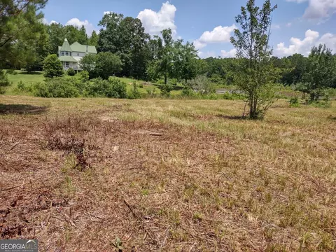 0 Elm St, Hampton, GA 30228 photo 6