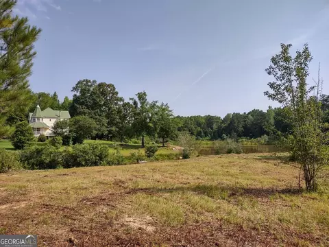 0 Elm St, Hampton, GA 30228 photo 29