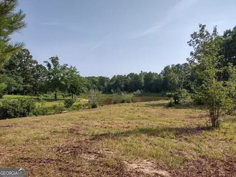 0 Elm St, Hampton, GA 30228 photo 33