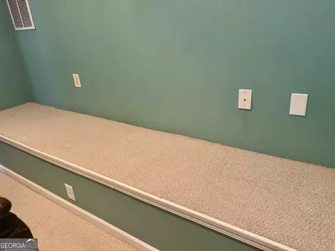 158 Manley Dr, Hampton, GA 30228 photo 56