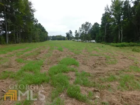0 E Main St, Gibson, GA 30810 photo 3