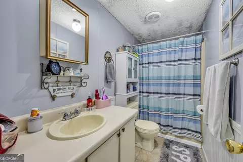 2393 Paynes Rd, Carnesville, GA 30521 photo 27