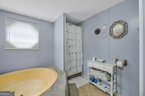 2393 Paynes Rd, Carnesville, GA 30521 photo 33