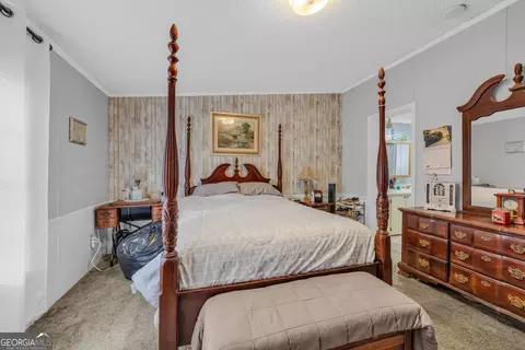 2393 Paynes Rd, Carnesville, GA 30521 photo 31