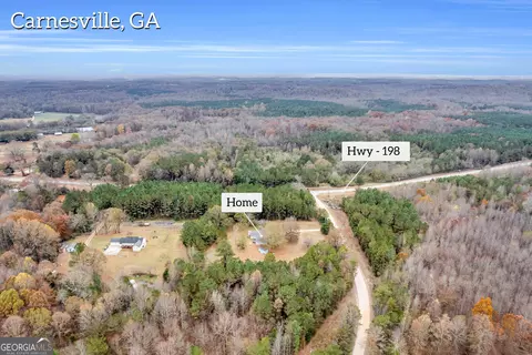 2393 Paynes Rd, Carnesville, GA 30521 photo 6