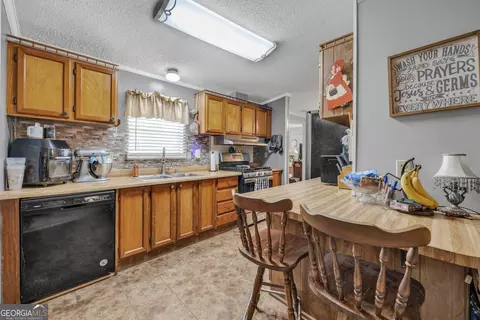 2393 Paynes Rd, Carnesville, GA 30521 photo 16