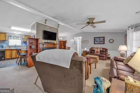 2393 Paynes Rd, Carnesville, GA 30521 photo 10