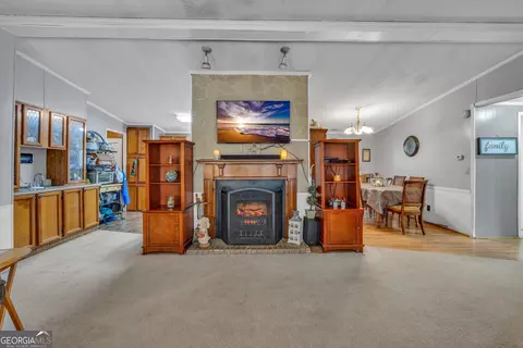 2393 Paynes Rd, Carnesville, GA 30521 photo 13